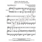 What Is The World To Me - St. 3 (U/2 & Keyboard)